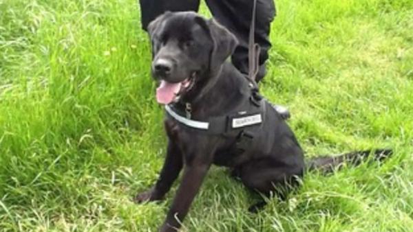  விசாரணை தீவிரம்