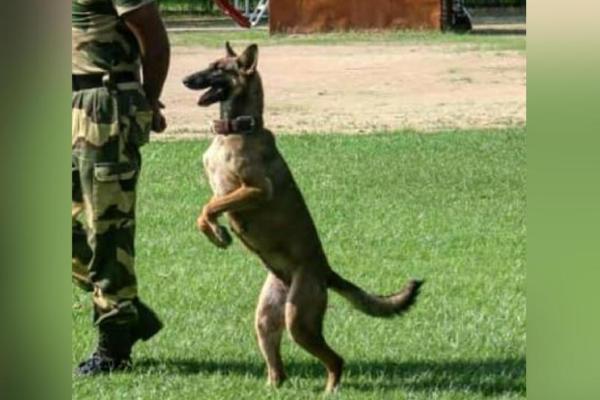  கர்ப்பமாகக் கூடாது