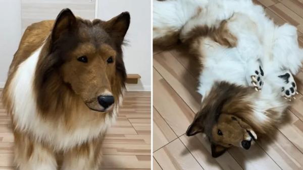 50 நாட்கள் 