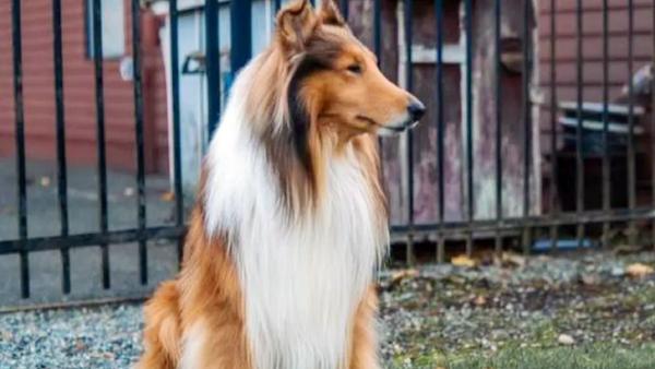 பாதுகாப்பு 