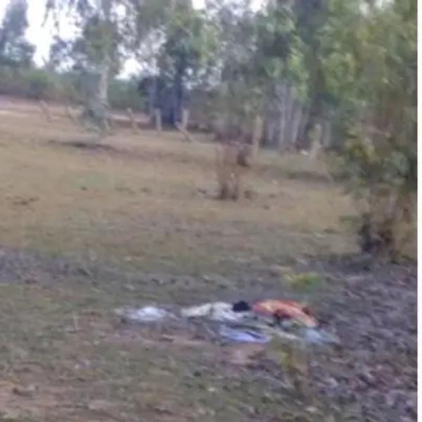 முள்காடு முள்காடு