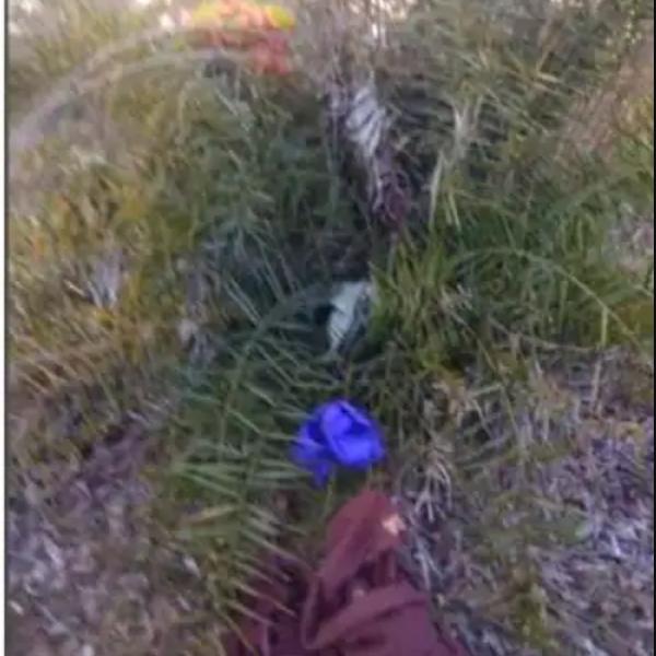 குளிக்க வந்த பெண்கள் குளிக்க வந்த பெண்கள்