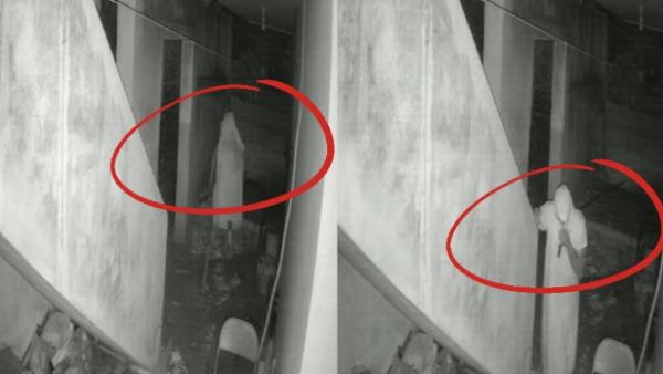  உள்ளாடைகள்