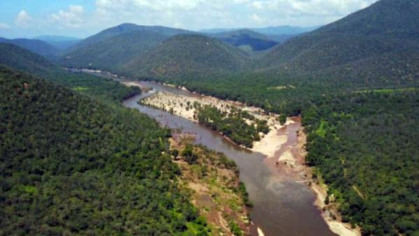 காப்புக்காடுகள் 