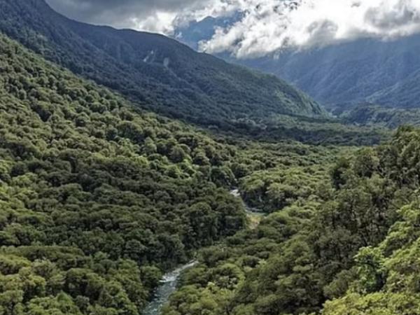 பொருள் வேறு 