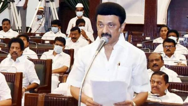 விதி மீறல் 