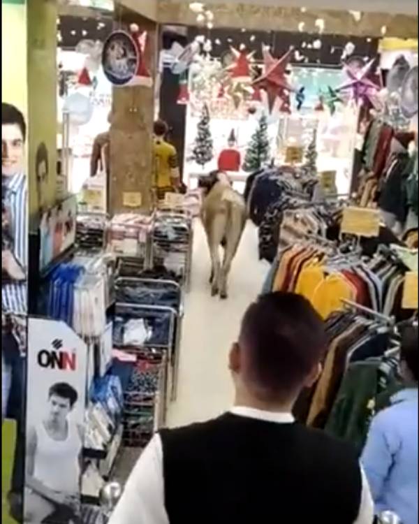  பதறிப்போன ஊழியர்கள்