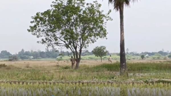  பாலியல் வன்கொடுமை 