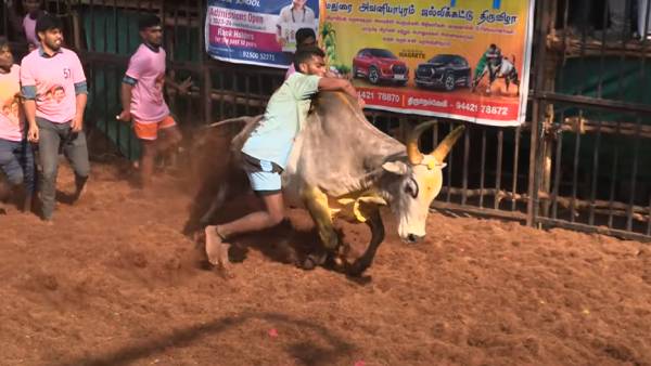 பலத்த பாதுகாப்பு பலத்த பாதுகாப்பு