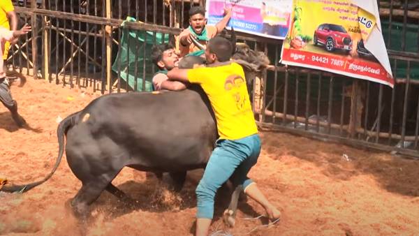 ஏற்பாட்டாளர்கள் ஏற்பாட்டாளர்கள்