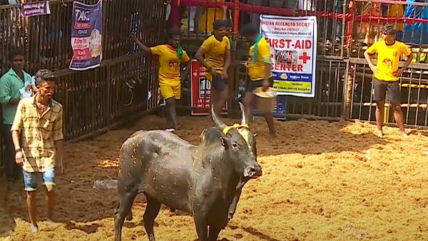 மருத்துவ குழு மருத்துவ குழு