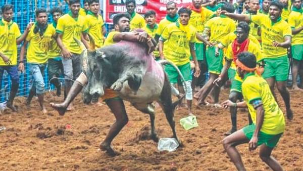 போலீஸ் பாதுகாப்பு 