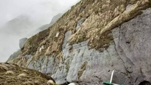  விபத்துக்கான காரணம்? 