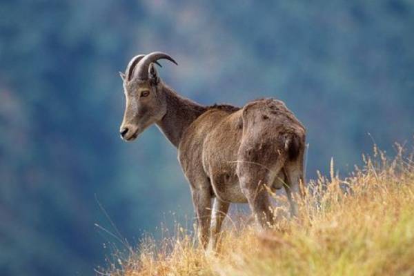 லிஸ்ட் எங்கே லிஸ்ட் எங்கே