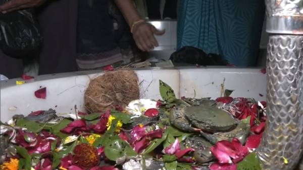 நண்டு அர்ச்சனை நண்டு அர்ச்சனை