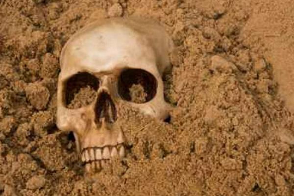 எலும்புக்கூடு 