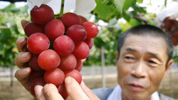 உலகிலேயே அதிக விலை 