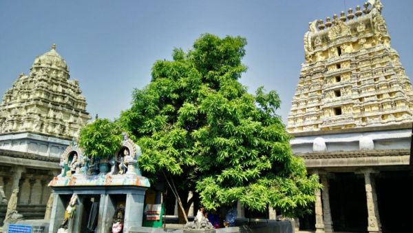 முத்துலட்சுமி முத்துலட்சுமி