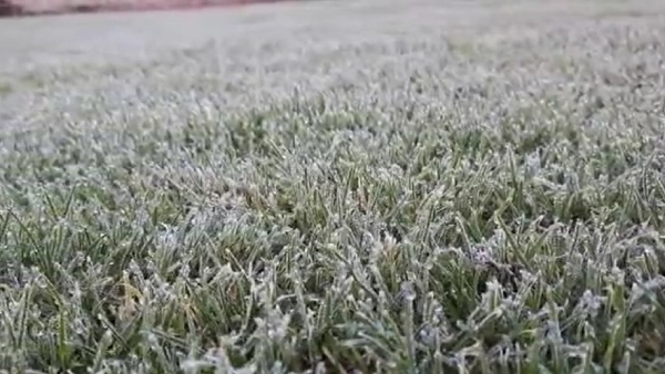 புடைக்கும் நரம்புகள்