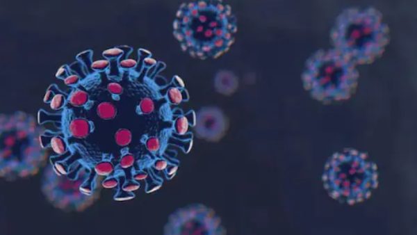 ஓமிக்ரான் உருமாறிய வைரஸ்கள் பரவல் 