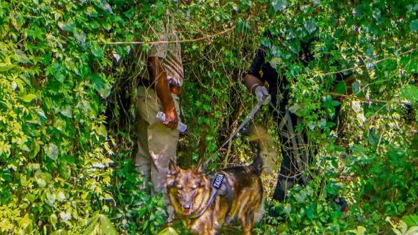 செல்போன் 