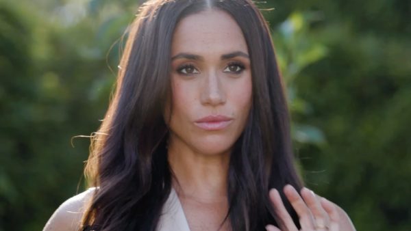  மேகன் மீது விமர்சனம் 