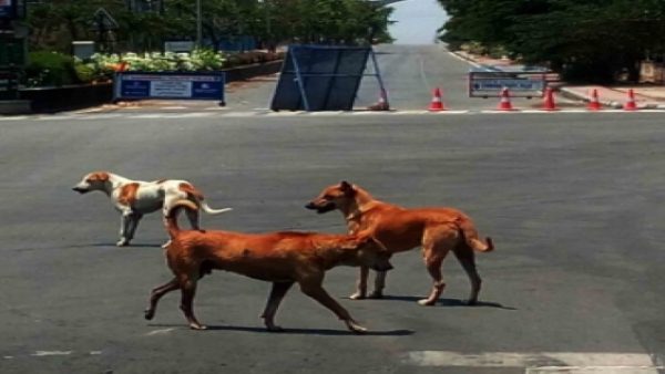 மாற்றம் 