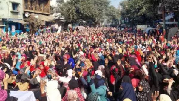  டெக்டோனிக் ஃபால்ட் லைன் 