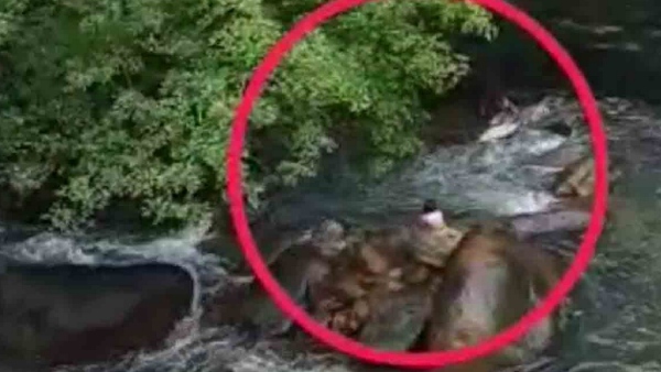 வேடிக்கை பார்த்த மக்கள் 