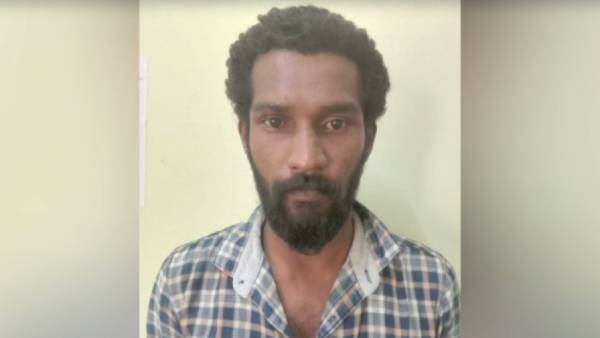 திட்டமிட்டு வீடியோ 