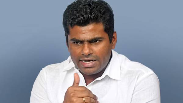 z பிரிவு பாதுகாப்பு 