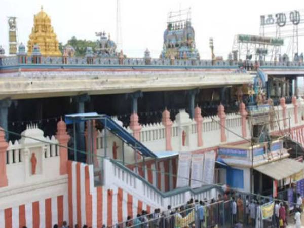 சிறப்பு மரியாதை 