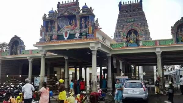 உரிய நடவடிக்கை 