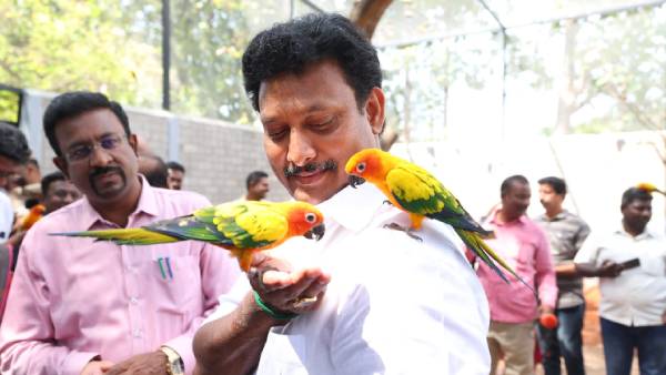 அருங்காட்சியகத்தில் பறவைகள் சரணாலயம் 