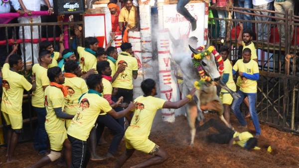 தகுதி நீக்கம் 