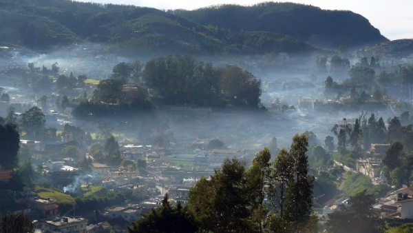  மினி காஷ்மீர்