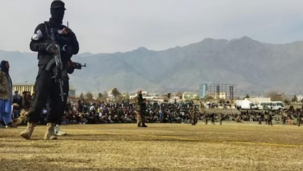 கசையடிகள்