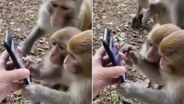 நெட்டிசன்கள் கருத்து நெட்டிசன்கள் கருத்து