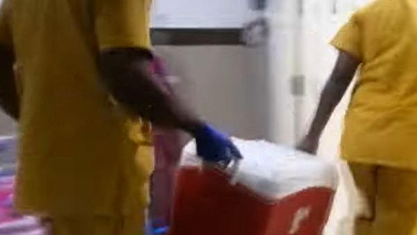  கிரீன் காரிடர் 