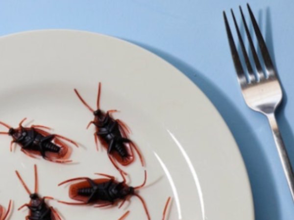 ரூ.22 லட்சம் செலவு 