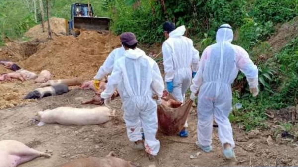 மனிதர்களுக்கு பரவுமா? 