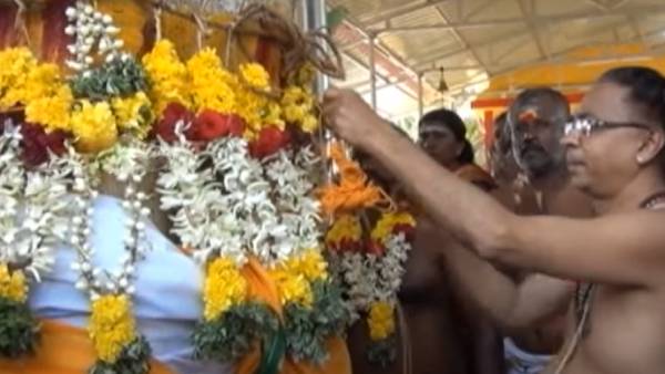 அரச மரத்திற்கும் வேப்ப மரத்திற்கும்.. 