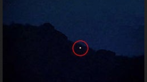 காட்டுப்பாதை 