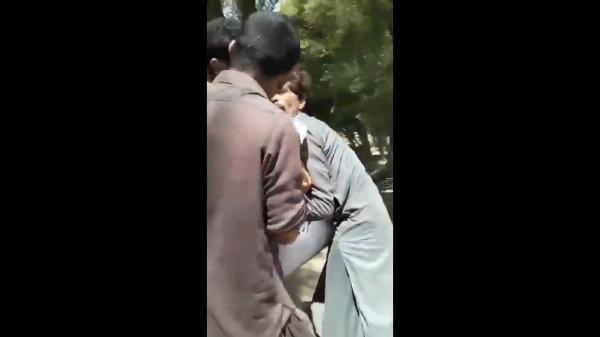 கோதுமை பாக்கெட் கோதுமை பாக்கெட்