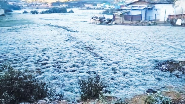 Frost in Nilgiri Coimbatore Early morning fog Sunny in Chennai says Chennai Met office 