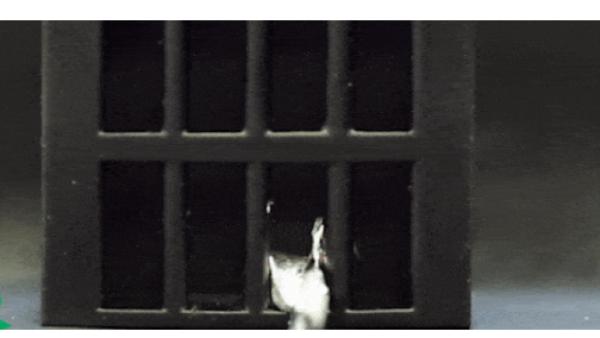  கேலியம் 