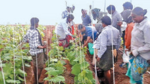  மாத சம்பளம் என்ன?