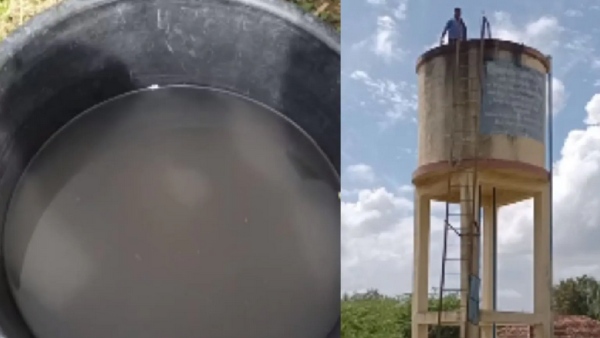 85 சாட்சிகள் 