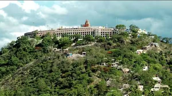 அறுபடை வீடு 