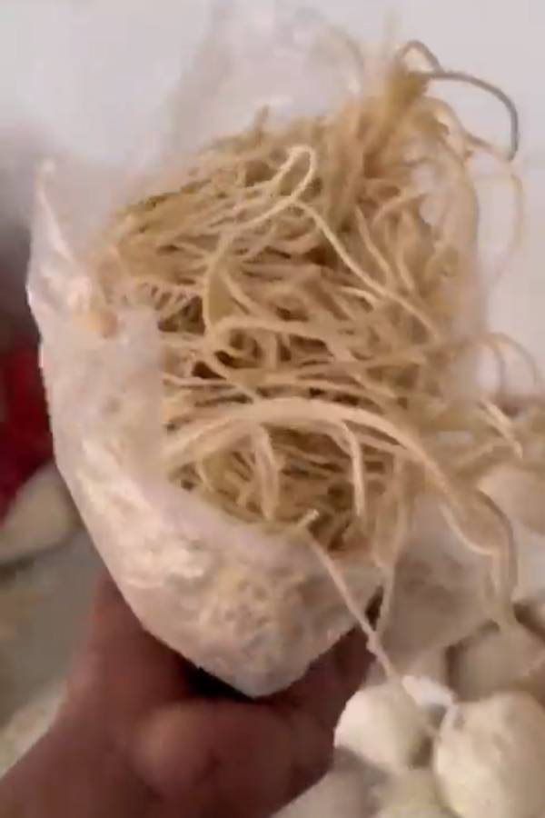 ஆச்சரியம் ஆச்சரியம்